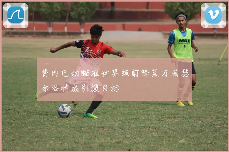 费内巴切瞄准世界级前锋莱万或瑟尔洛特成引援目标