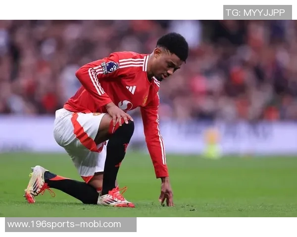 去年出场15场以上却未进球的前锋身价排行榜萨默维尔位居第一